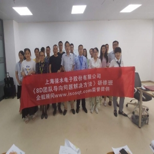 8D團(tuán)隊(duì)導(dǎo)向問(wèn)題解決方法